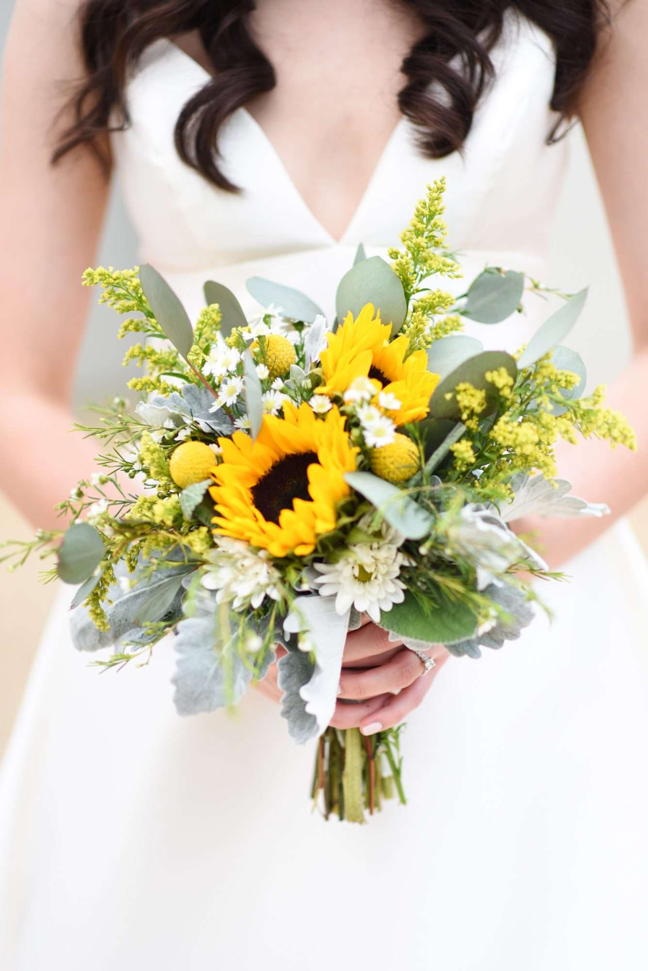 Sunflower2