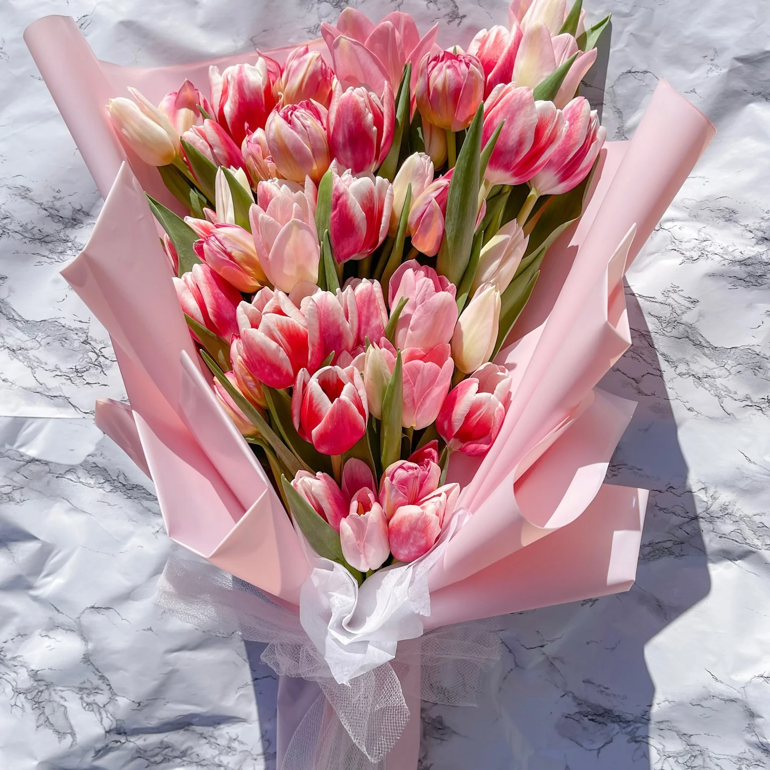 Tulip1